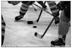 [Sport] HC Torino Bulls - SC Cortina 01 B&amp;w
