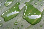 Come due gocce d'acqua Come due gocce d'acqua