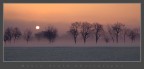 Mattino Mattino