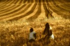 In search of the lost gold In search of the lost gold