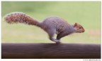 Panning Panning