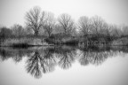 Grafismi Invernali Grafismi Invernali