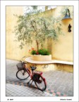 BICI ROSSA BICI ROSSA