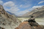 nubra valley....il punto piu' a nord dell'india