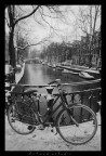 amsterdam amsterdam