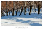 Sotto la neve...vino! Sotto la neve...vino!