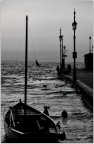 i address these waves i address these waves