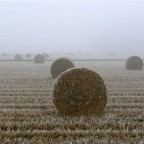 in mezzo alla nebbia della pianura padana