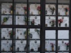 ogni quadratino,una vita ogni quadratino,una vita