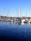Porquerolle