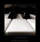 primo Piano primo Piano