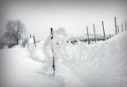 soft..................snow soft..................snow