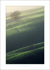 Toscana (5) Toscana (5)