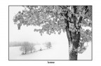 inverno inverno