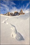 Nikon D40, Nikkor 12-24 a 12mm, f/16, ISO 200, 1/80", Treppiede, Scatto Remoto

Uno scatto ai piedi delle Pale di San Martino di Castrozza sulle tracce di una lepre...