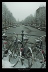 amsterdam amsterdam