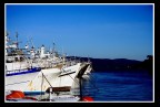 il porto il porto