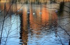 riflessi riflessi