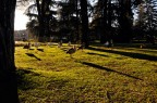 _DSC0814 _DSC0814