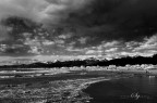 Viareggio Viareggio