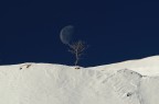 L'albero e la Luba L'albero e la Luba
