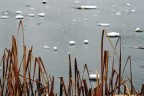 Immagine d'inverno Immagine d'inverno