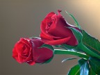 rose...rosse rose...rosse