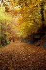 AUTUNNO A SAN GIACOMO AUTUNNO A SAN GIACOMO