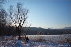 Paessaggio invernale Paessaggio invernale