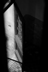Luce Luce