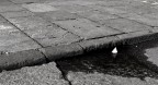 specchio rotto. frammento navigabile specchio rotto. frammento navigabile