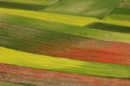 I colori di Castelluccio I colori di Castelluccio