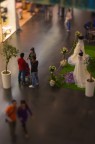 tiltshift tiltshift