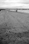 Guardando il mare Guardando il mare