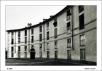 VENARIA VENARIA