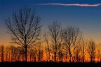 rosso di sera rosso di sera