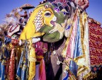 L'Elephant Festival � un enorme evento popolare che si tiene a Jaipur nel mese di Marzo. La gente festeggia la primavera di "Holi" tirandosi fiori , palle di polvere colorate o acqua colorata. Il festival unisce elefanti e primavera di Holi per un divertimento gigante in Chaugan ground. Il festival inizia con una processione degli animali che termina con il premio a quello miglior decorato. Poi si tengono gare di polo con elefanti e gare di forza tra elefanti e uomini.