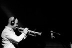 Trumpet Trumpet