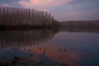 rosso di sera rosso di sera