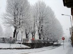 Divieto d'accesso...alla Primavera Divieto d'accesso...alla Primavera