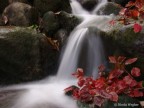 Autunno Autunno