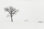 The White Silence... The White Silence...