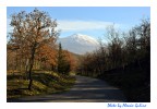 La grande meta... La grande meta...