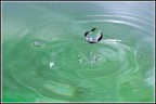 Acqua Acqua