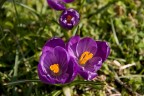 Prove di Macro Prove di Macro