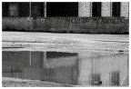 grida nel silenzio grida nel silenzio