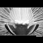 ::: ARCHITETTURA :::