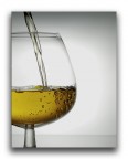 scotch scotch