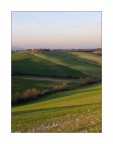 684 - Campagna nel Pisano
