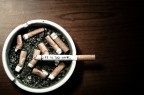 Enjoy your life Enjoy your life